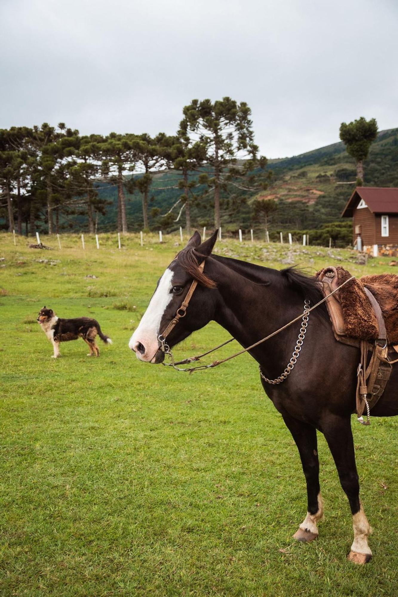Recanto Das Aguas - Urubici - Sc Exteriér fotografie